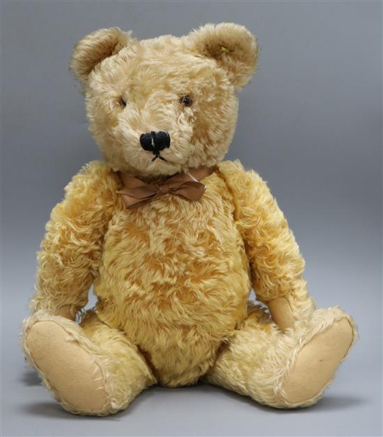 A 1950s Steiff teddy bear, Ralph, with golden mohair, brown and black glass eyes, pronounced muzzle, black